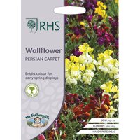 RHS Wallflower Persian Carpet
RHS Wallflower Persian Carpet