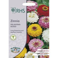 RHS Zinnia Oklahoma Mix
RHS Zinnia Oklahoma Mix