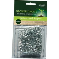 Galvanised Staples 15mm Pack 50
Galvanised Staples 15mm Pack 50