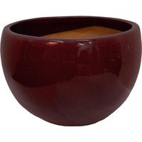 Chiswick Moon Red Terracotta Pot - 35cm
Chiswick Moon Red Terracotta Pot - 35cm