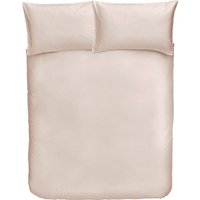 Cotton Duvet Cover Set - Single - Oyster
Cotton Duvet Cover Set - Single - Oyster