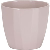 Elegance Rose Ceramic Pot - 10cm
Elegance Rose Ceramic Pot - 10cm