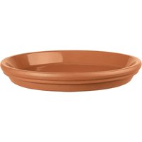 Terracotta Saucer - 25cm
Terracotta Saucer - 25cm