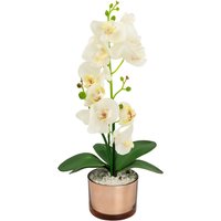Large Real Touch Orchid
Large Real Touch Orchid
