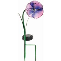 CB Solar Pansy Stake Light
CB Solar Pansy Stake Light