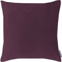 Country Living Velvet Linen Cushion - 45x45cm - Grape
Country Living Velvet Linen Cushion - 45x45cm - Grape