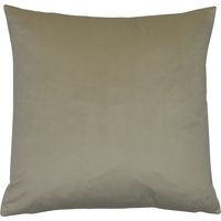 Opulent Velvet Cushion - Oyster - 50x50cm
Opulent Velvet Cushion - Oyster - 50x50cm