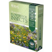 Rhs Flowers For Insects