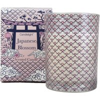 Gift Box Candle - Japanese Blossom
Gift Box Candle - Japanese Blossom