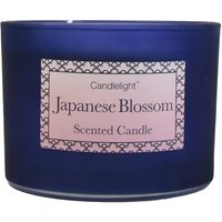 Two Wick Candle - Japanese Blossom
Two Wick Candle - Japanese Blossom