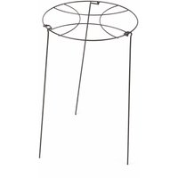 Grorings 40cm With 60cm Legs
Grorings 40cm With 60cm Legs