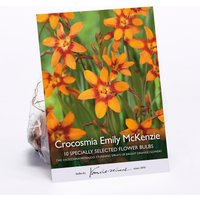 Crocosmia Emily McKenzie
Crocosmia Emily McKenzie