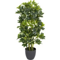 Artificial 95cm Schefflera Tree In Pot
Artificial 95cm Schefflera Tree In Pot