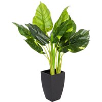 Artificial Real Touch Pothos Tree In Pot
Artificial Real Touch Pothos Tree In Pot