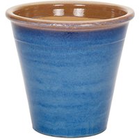 Windsor Cone Forget Me Not 22cm
Windsor Cone Forget Me Not 22cm