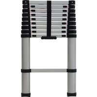 Rhino 2.9m Telescopic Extension Ladder
Rhino 2.9m Telescopic Extension Ladder
