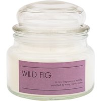 Wild Fig Jar Candle
Wild Fig Jar Candle