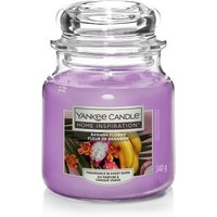 Yankee Home Inspiration Medium Jar Banana Flower
Yankee Home Inspiration Medium Jar Banana Flower