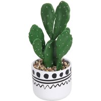 Cactus in Abstract Pot
Cactus in Abstract Pot