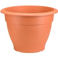 Palladian Plant Pot in Terracotta - 60cm
Palladian Plant Pot in Terracotta - 60cm