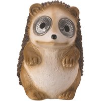 Hedgerow Heros Solar Lights
Hedgerow Heros Solar Lights