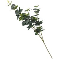 Eucalyptus - Green
Eucalyptus - Green