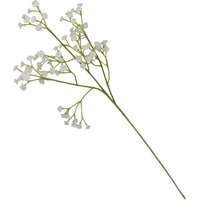 Gypsophilia - Green & White
Gypsophilia - Green & White