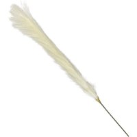 Pampas - White
Pampas - White