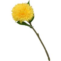 Chrysanthemum - Yellow
Chrysanthemum - Yellow