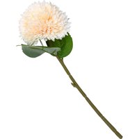 Chrysanthemum - Peach
Chrysanthemum - Peach