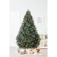 7ft Blenheim Pine Pre-lit Premium Christmas Tree
7ft Blenheim Pine Pre-lit Premium Christmas Tree