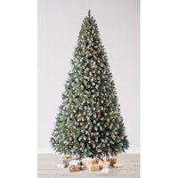 10ft Derry Spruce Pre-lit Premium Christmas Tree
10ft Derry Spruce Pre-lit Premium Christmas Tree