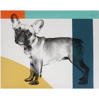 French Bull Dog Canvas
French Bull Dog Canvas