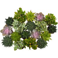 Succulents Mix in 8.5cm Pot
Succulents Mix in 8.5cm Pot