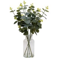 Eucalyptus in Glass Vase
Eucalyptus in Glass Vase