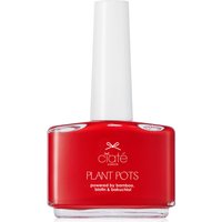 Лак для ногтей Ciaté London Plant Pots, 14 мл (разные оттенки) - Snatch
Лак для ногтей Ciaté London Plant Pots, 14 мл (разные оттенки) - Snatch