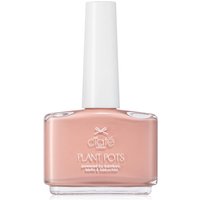 Лак для ногтей Ciaté London Plant Pots, 14 мл (разные оттенки) - Sweet Blush
Лак для ногтей Ciaté London Plant Pots, 14 мл (разные оттенки) - Sweet Blush