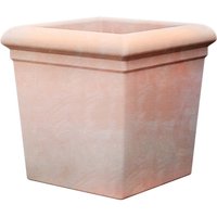 Regency Terracotta Square Pot - 26cm
Regency Terracotta Square Pot - 26cm