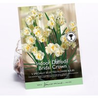 Indoor Daffodil Bridal Crown
Indoor Daffodil Bridal Crown