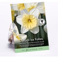 Daffodil Ice Follies
Daffodil Ice Follies