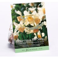 Narcissus Bell Song
Narcissus Bell Song