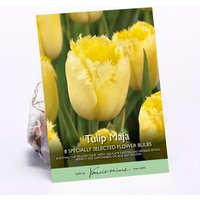 Tulip Maja
Tulip Maja