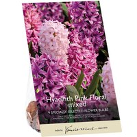 Hyacinth Pink Floral
Hyacinth Pink Floral
