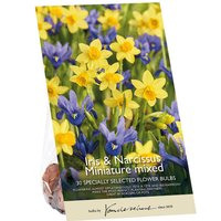 Iris & Narcissus Miniature mixed
Iris & Narcissus Miniature mixed