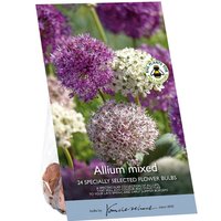 Miniature Allium Mixed
Miniature Allium Mixed