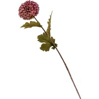 Dahlia - Red
Dahlia - Red