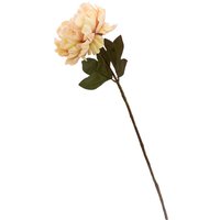 Peony - Pale Pink
Peony - Pale Pink