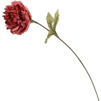 Peony - Dark Pink
Peony - Dark Pink