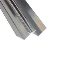 Wetwall Internal Corner - Polished Silver - Acrylic
Wetwall Internal Corner - Polished Silver - Acrylic