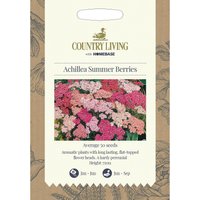 Country Living Achillea Summer Berries Seeds
Country Living Achillea Summer Berries Seeds